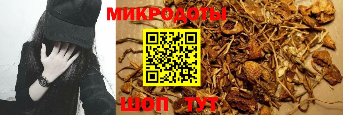 Псилоцибиновые грибы Psilocybe  Вход с VPN  купить наркотик  Вичуга 