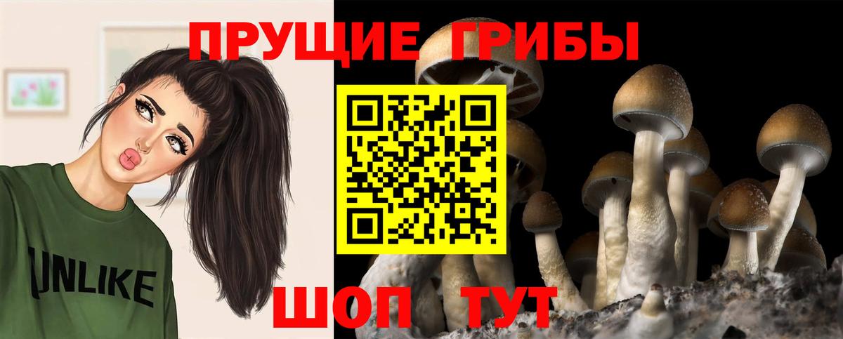 Галлюциногенные грибы Magic Shrooms Вичуга